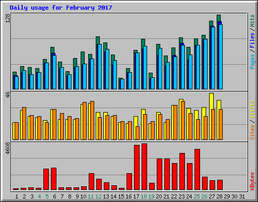Daily usage for February 2017