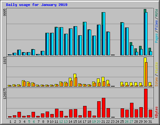 Daily usage for January 2019