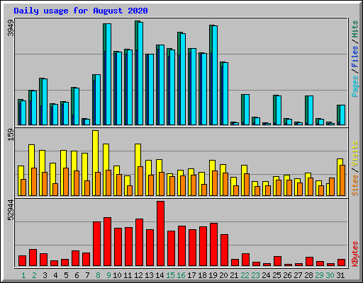 Daily usage for August 2020