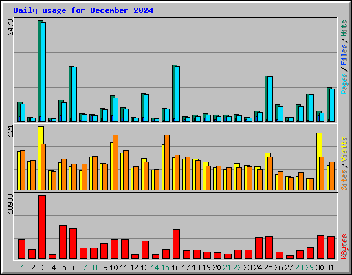 Daily usage for December 2024