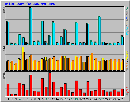 Daily usage for January 2025