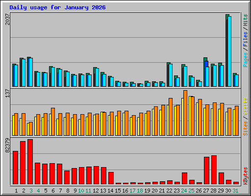 Daily usage for January 2026