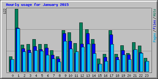 Hourly usage for January 2015