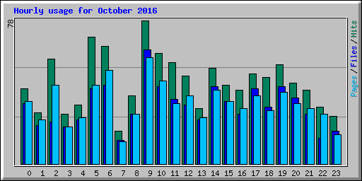 Hourly usage for October 2016