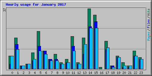 Hourly usage for January 2017