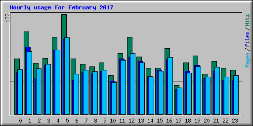 Hourly usage for February 2017