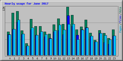 Hourly usage for June 2017