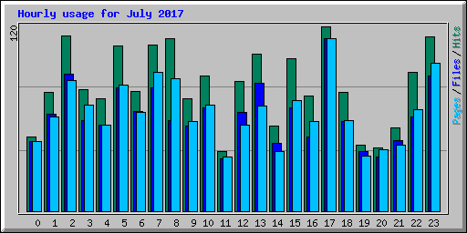 Hourly usage for July 2017