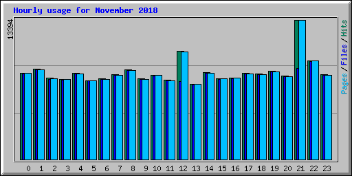 Hourly usage for November 2018