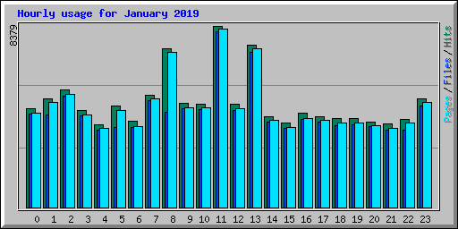 Hourly usage for January 2019