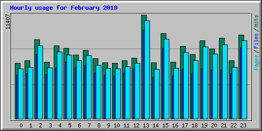Hourly usage for February 2019