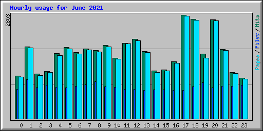 Hourly usage for June 2021