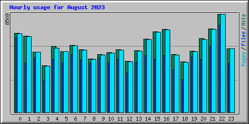 Hourly usage for August 2023