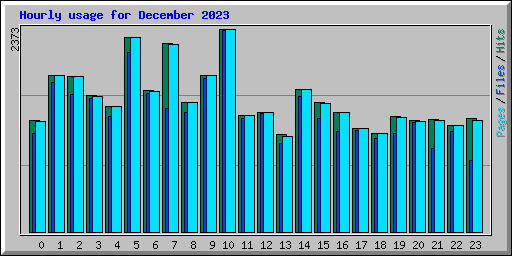 Hourly usage for December 2023