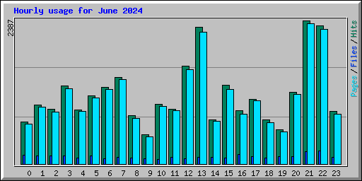 Hourly usage for June 2024