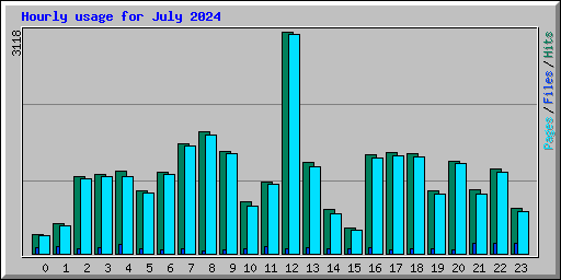 Hourly usage for July 2024