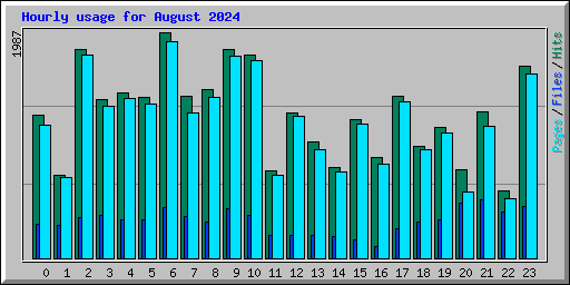 Hourly usage for August 2024