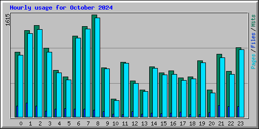 Hourly usage for October 2024