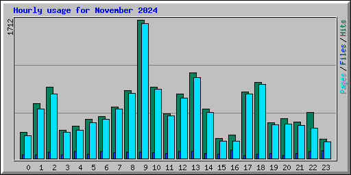 Hourly usage for November 2024