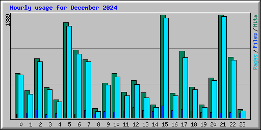 Hourly usage for December 2024