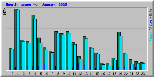 Hourly usage for January 2025