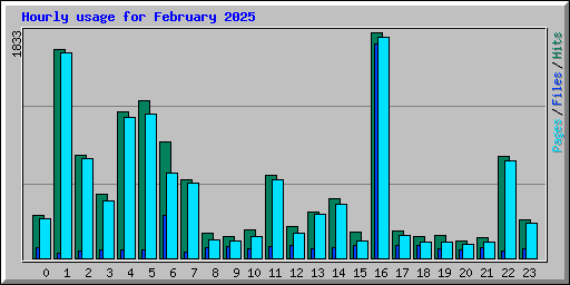 Hourly usage for February 2025