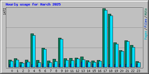 Hourly usage for March 2025
