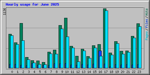 Hourly usage for June 2025