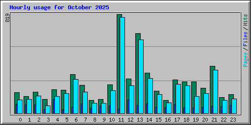 Hourly usage for October 2025
