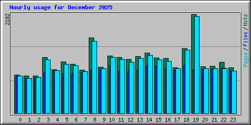Hourly usage for December 2025