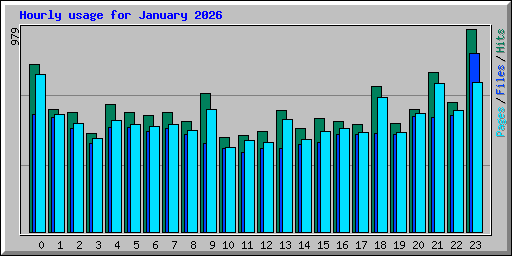 Hourly usage for January 2026