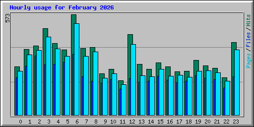 Hourly usage for February 2026