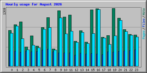 Hourly usage for August 2026
